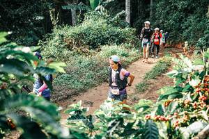 BIB: 
                            <button type="button" onclick="openModal(25852078)" class="btn btn-primary btn-sm float-right btn-popup" data-toggle="modal" data-target=".modal-high-quality">
                        <i class="fas fa-shopping-cart"></i> Add to Cart
                    </button>
                                            <button type="button" onclick="isThisMe(25852078, true)" class="btn btn-success btn-sm float-right btn-popup btn-isme hidden" data-toggle="tooltip" data-placement="bottom" title="นี่คือรูปของคุณใช่ไหม คลิกที่นี่เพื่อเอาเข้าอัลบั้ม">
                        <i class="fas fa-plus"></i> Add to album
                    </button>
                    <button type="button" onclick="isThisMe(25852078, false)" class="btn btn-warning btn-sm float-right btn-popup btn-isnotme hidden">
                        <i class="fas fa-ban"></i> Remove from album
                    </button>